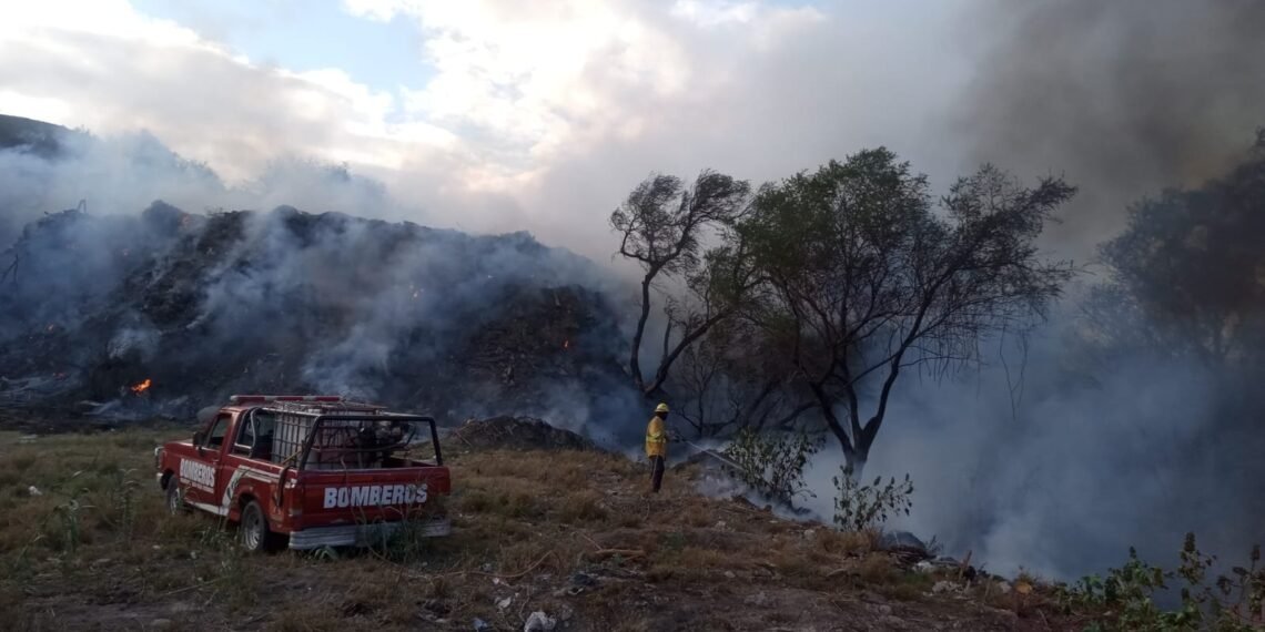 En lo que va del año, se registraron 173 incendios forestales en la provincia