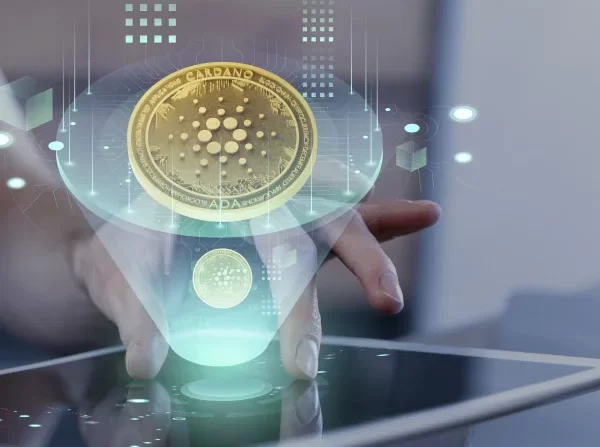 Cómo funcionaría y cuáles serían las ventajas de la moneda digital argentina