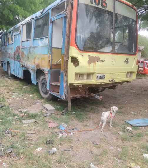 Cumplió un mes varada en Catamarca y necesita reparar su motorhome para volver