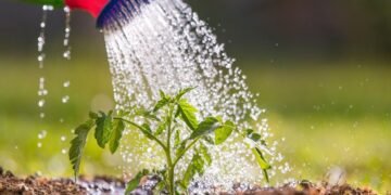 Riego eficiente en jardinería y espacios verdes: Claves para el mantenimiento sostenible ante la sequía