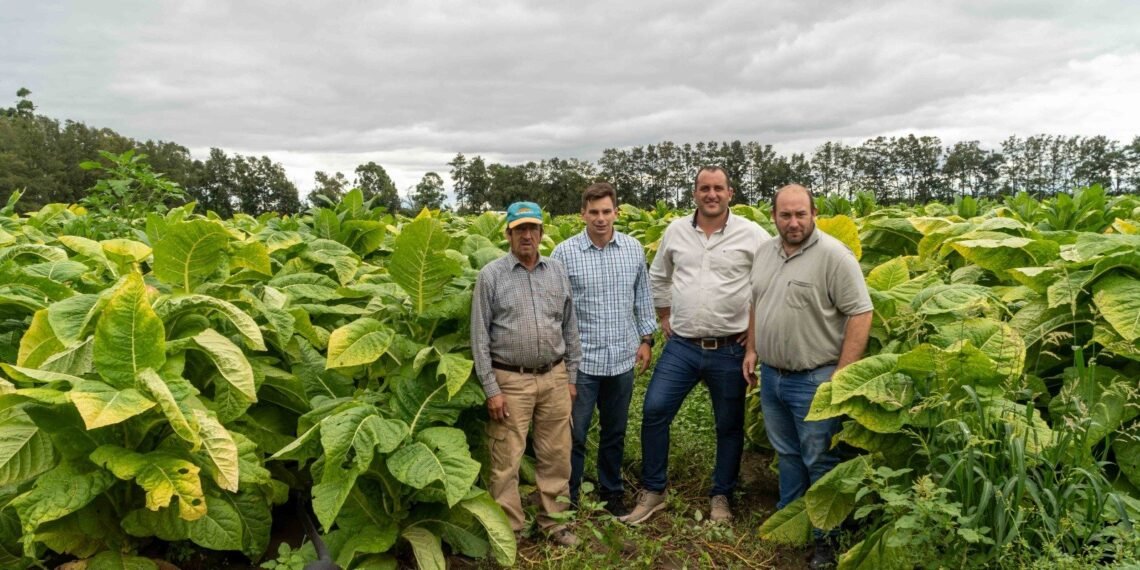 Apoyo al sector tabacalero: Miranda respaldó el trabajo de los productores