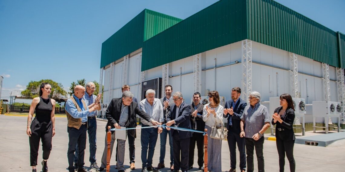 Inauguran importantes obras de ampliación del frigorífico Natilla