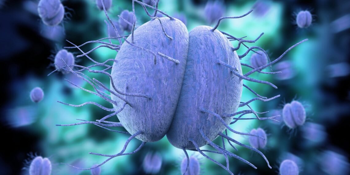 Santa Fe: murió una niña por meningitis y dictan medidas de prevención