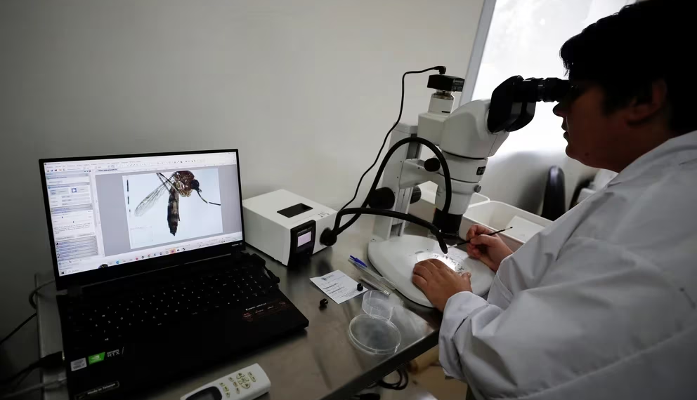 Dengue: se registraron 975 nuevos casos en la última semana