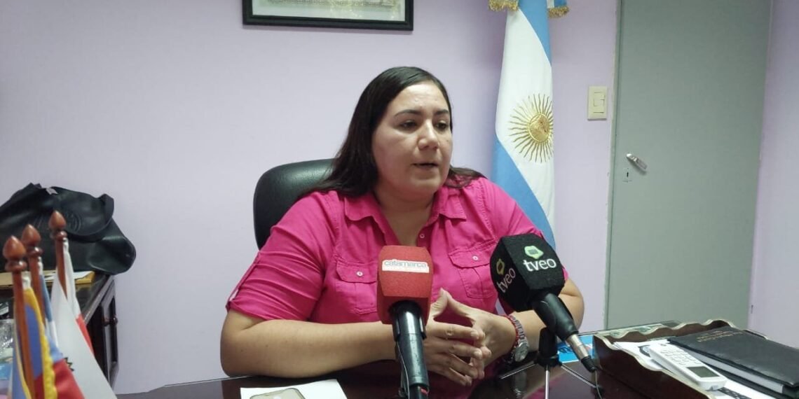 La diputada Silvana Carrizo volvió a criticar el uso del avión sanitario por parte del Gobernador