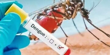 Se registraron 1.092 nuevos casos de dengue y 5 fallecidos en la Provincia