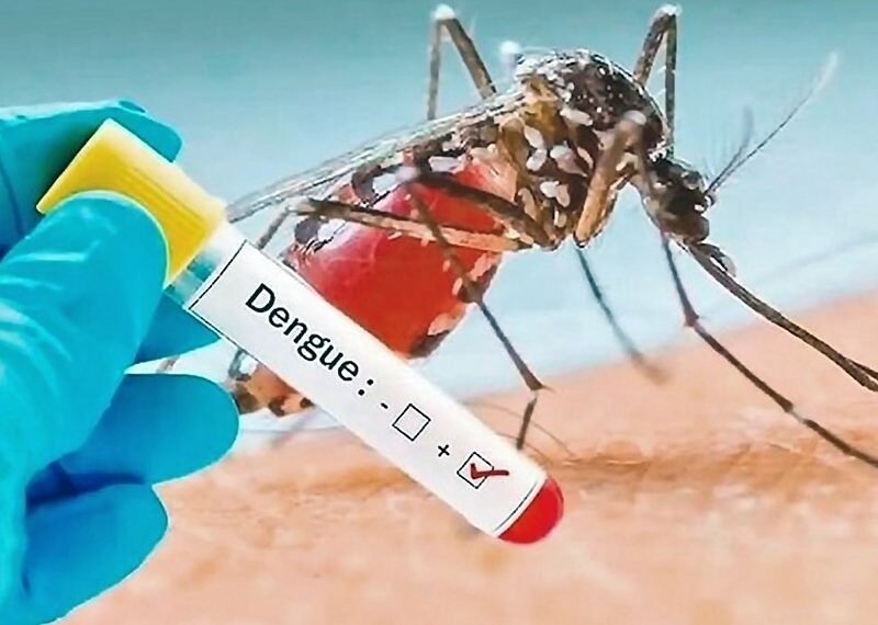 Se registraron 1.092 nuevos casos de dengue y 5 fallecidos en la Provincia