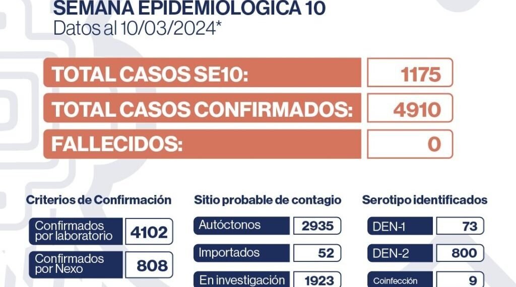 Se registraron 1.175 nuevos casos de Dengue en la Provincia