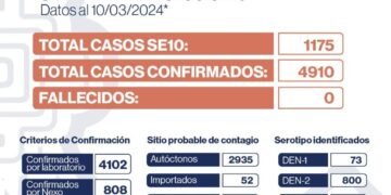 Se registraron 1.175 nuevos casos de Dengue en la Provincia