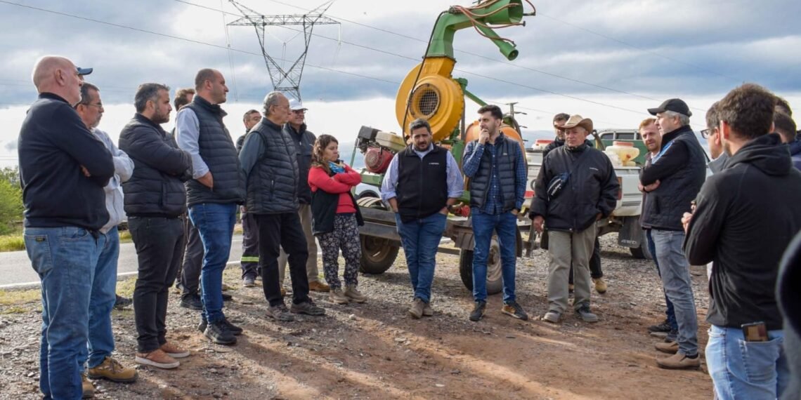 El SENASA y el Gobierno de Catamarca refuerzan el control de la plaga de langostas