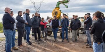 El SENASA y el Gobierno de Catamarca refuerzan el control de la plaga de langostas