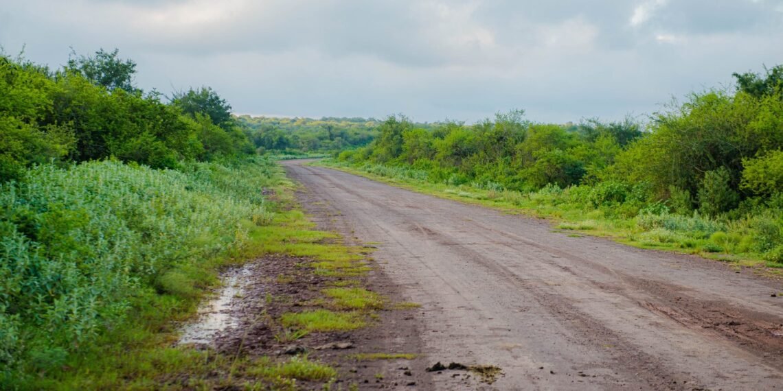 Se estudiará la reactivación de la Ruta 2 con fondos provinciales