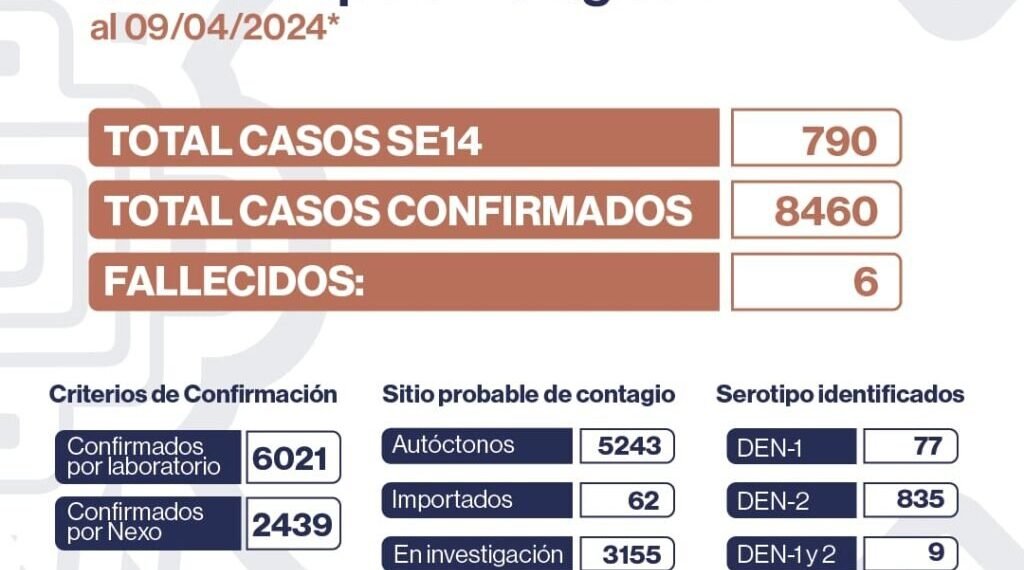 Se registraron casi 800 nuevos casos de dengue