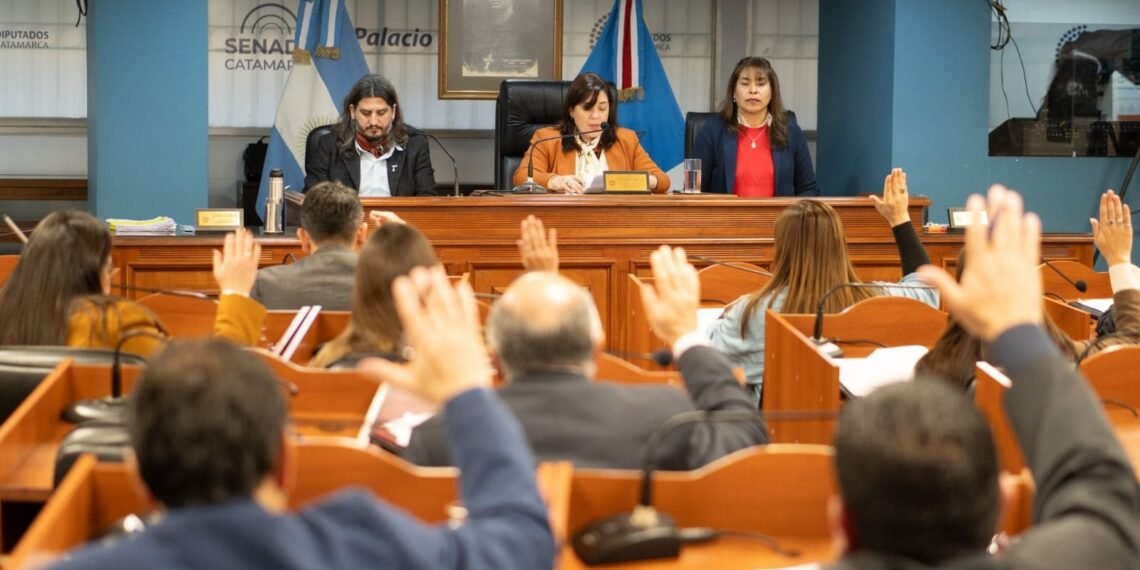 El Senado dio sanción definitiva a la Ley de Emergencia Económica