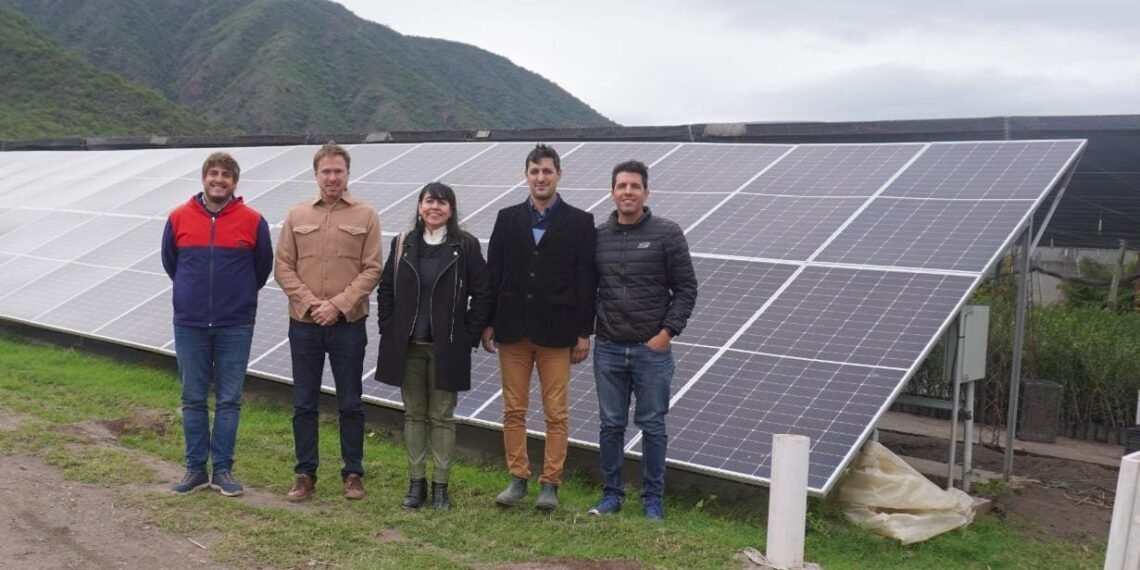 Empresas logran la autosustentación con energía solar