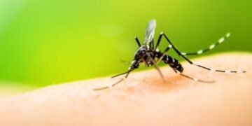 En la última semana, se registraron 4 nuevos casos de Dengue