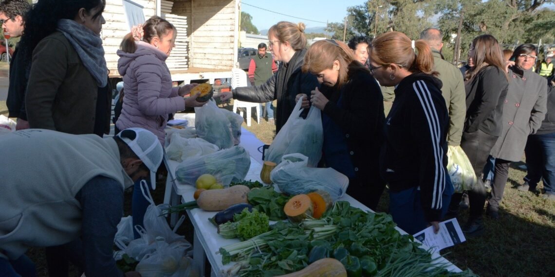 Productores y emprendedores locales se preparan para una feria fija en la Capital