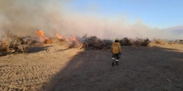 Brigadistas en acción ante la temporada alta de incendios