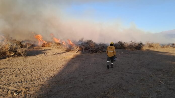 Brigadistas en acción ante la temporada alta de incendios