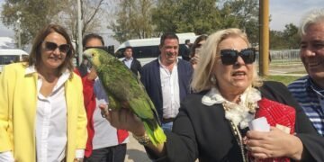 El diputado que organizó la visita a Astiz difundió en un chat con Karina Milei un video que defiende a represores