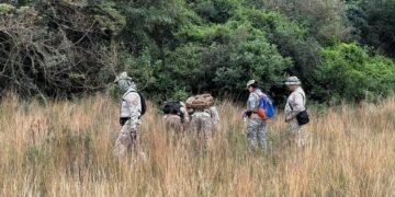 En medio de la presión por el caso Loan, Bullrich disputa con Macri su futuro en el PRO