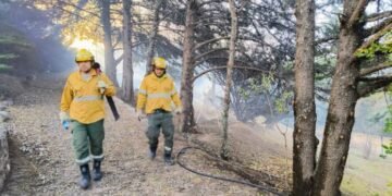 Recomendaciones para enfrentar los incendios forestales en Catamarca
