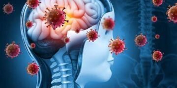 Advierten que en primavera la probabilidad de contraer meningitis es mayor