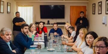 Analizan la creación del Colegio de profesionales de Educación Especial y dieron luz verde a capacitación para proteger las infancias