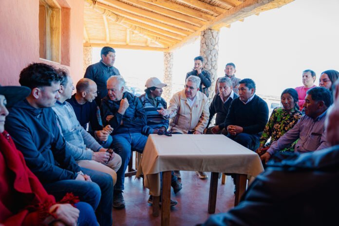 Catamarca impulsa la exportación de fibra de vicuña con apoyo internacional