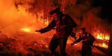 Incendios en Córdoba: la provincia anunció que continúan los focos activos, pero con menor actividad