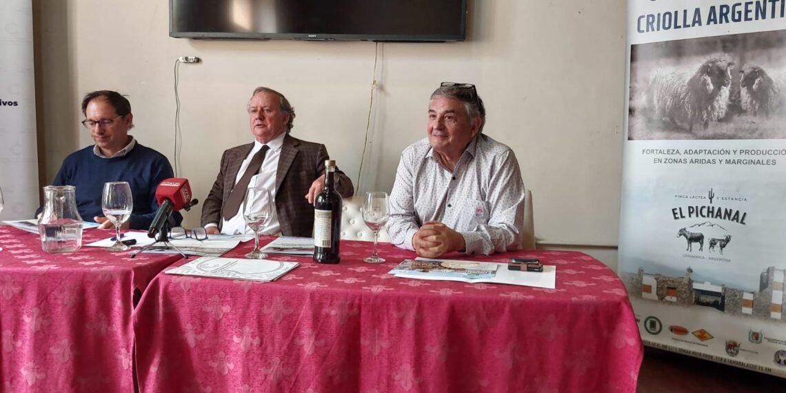 Santa María se prepara para las Terceras Jornadas Nacionales e Internacionales de la Raza Ovino Criolla