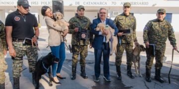 Tres perros de las fuerzas de Seguridad concluyeron su servicio