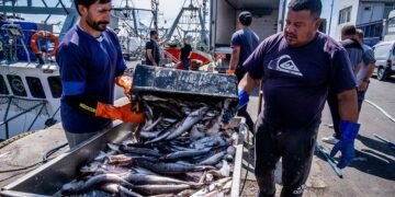 Versiones de coimas por US$15 millones sacuden la relación del gobierno de Milei con las pesqueras