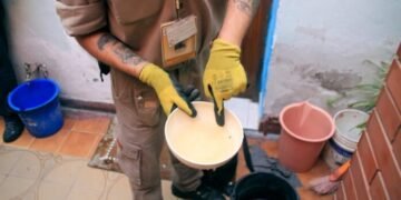 Continúan los controles para la prevención de Dengue