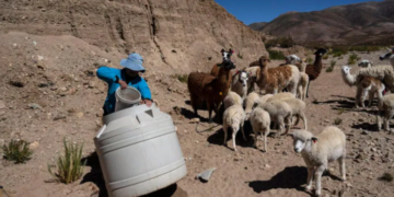 Denuncia de la Comunidad Indígena Atacameños del Altiplano por violación de su territorio