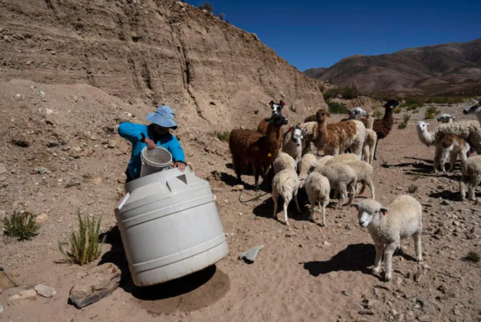 Denuncia de la Comunidad Indígena Atacameños del Altiplano por violación de su territorio
