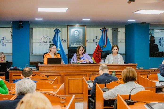 Diputados aprobó por unanimidad un marco regulatorio para prevenir la ludopatía en menores