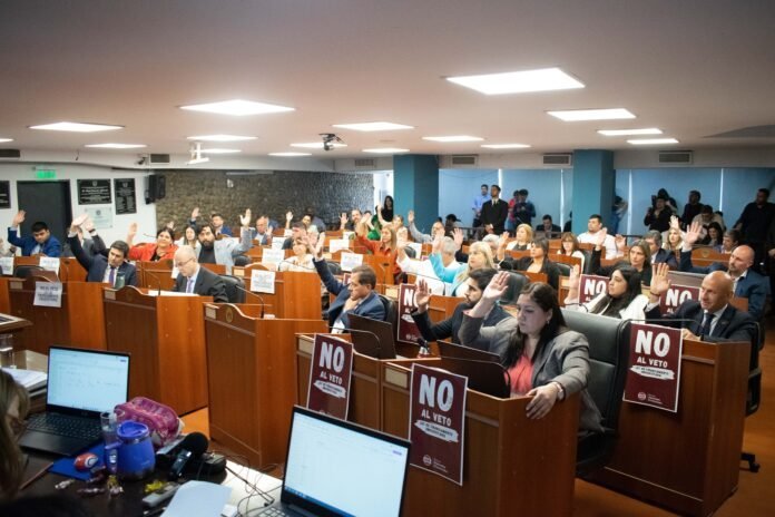 Diputados respaldó la marcha universitaria y exige la vigencia de la Ley de Financiamiento Universitario