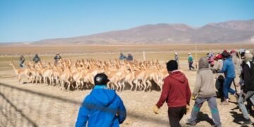 El Chaku como Patrimonio Inmaterial de la Humanidad