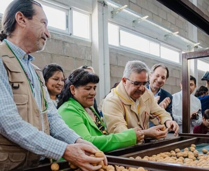 Lanzan subsidio al consumo eléctrico para grandes usuarios del sector agroproductivo