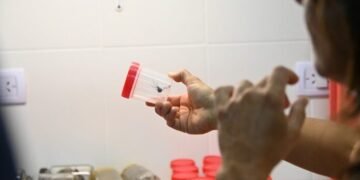 Salud trabajó en la captura de alacranes y arañas para la realización de sueros