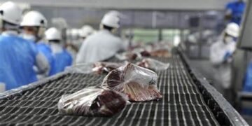 El Gobierno suspendió temporalmente el ingreso de carne con hueso a la Patagonia