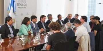 Industriales se reunieron en el Senado nacional con funcionarios provinciales y legisladores