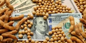 Las ventas de soja aumentan un 30% tras la reducción de retenciones, pero la liquidación de divisas sigue sin repuntar