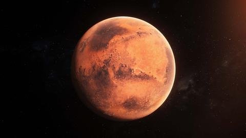 SpaceX se prepara para aterrizar en Marte con el cohete Starship y el robot Optimus