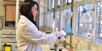 Estudian método alternativo de extracción de litio que disminuye el uso de agua dulce