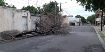 Fuerte temporal causó daños en el Valle Central