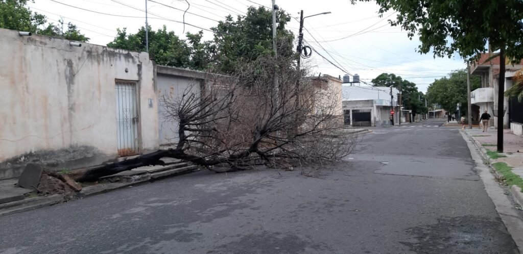 Fuerte temporal causó daños en el Valle Central
