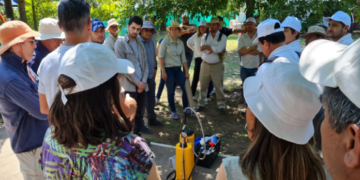 La FAO y SENASA llevan a cabo un taller regional de emergencia de langostas