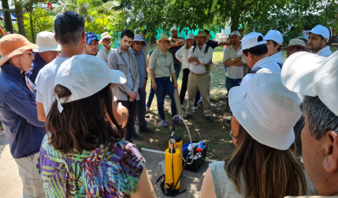La FAO y SENASA llevan a cabo un taller regional de emergencia de langostas